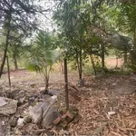 Bán đất thổ cư 996m² tại Cần Giuộc, Tây Ninh, giá 2.2 tỷ - Ảnh thu nhỏ 4