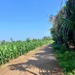 Bán đất mặt tiền đường nhựa 5x21m giá 519 triệu tại Hòa Xuân, Buôn Ma Thuột - Ảnh thu nhỏ 2