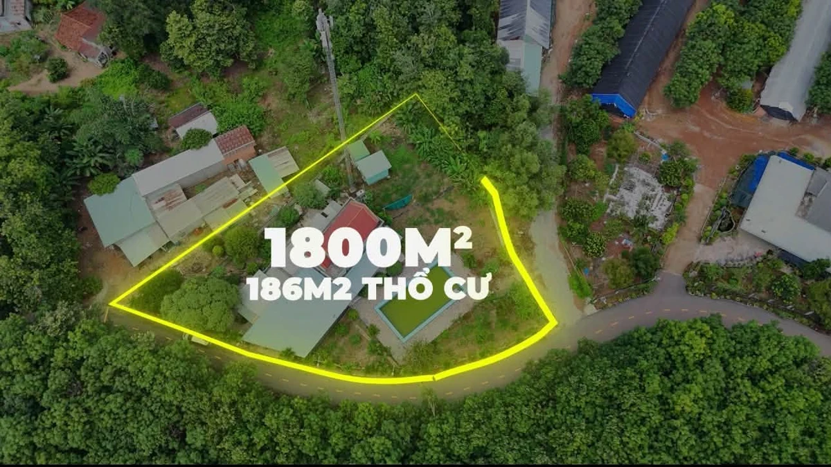 Bán nhà vườn 1.794m2 có bể bơi, 4 phòng ngủ tại Tam Lập, Phú Giáo, Bình Dương - Ảnh thu nhỏ 2