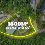 Bán nhà vườn 1.794m2 có bể bơi, 4 phòng ngủ tại Tam Lập, Phú Giáo, Bình Dương - Ảnh thu nhỏ 2