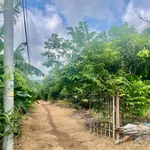 Bán đất 832 m² 2 mặt tiền Đức Huy, Thống Nhất, Đồng Nai, 900 triệu - Ảnh thu nhỏ 1