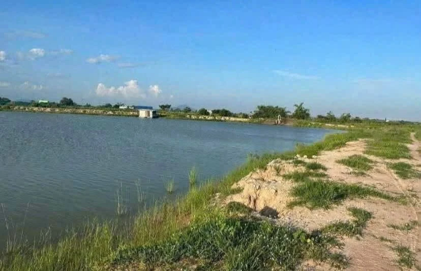 Bán đất cây trồng 200m2 tại Hàm Liêm, Khánh Hòa 180 triệu - Ảnh thu nhỏ 4