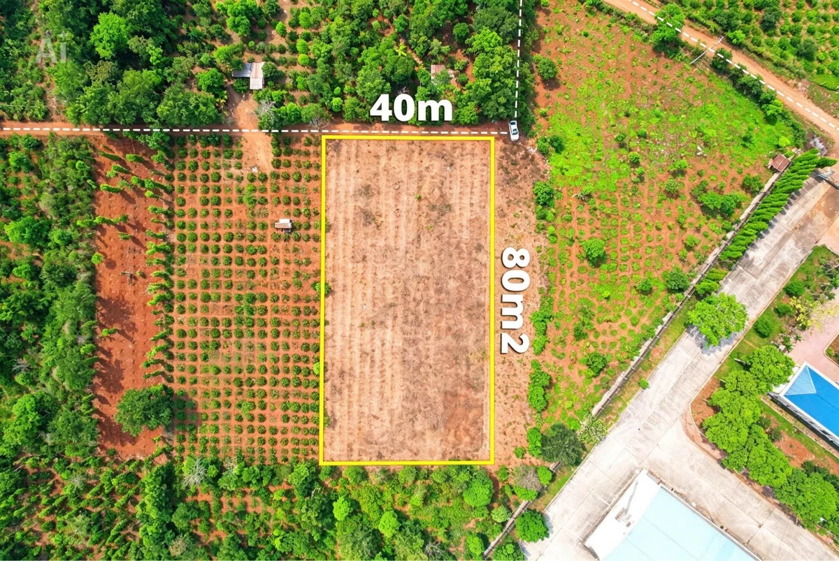 Bán 3,2 sào đất trống phường Tân An, hẻm cấp 1 vành đai QL14 và QL26, giá 4 tỷ - Ảnh thu nhỏ 4