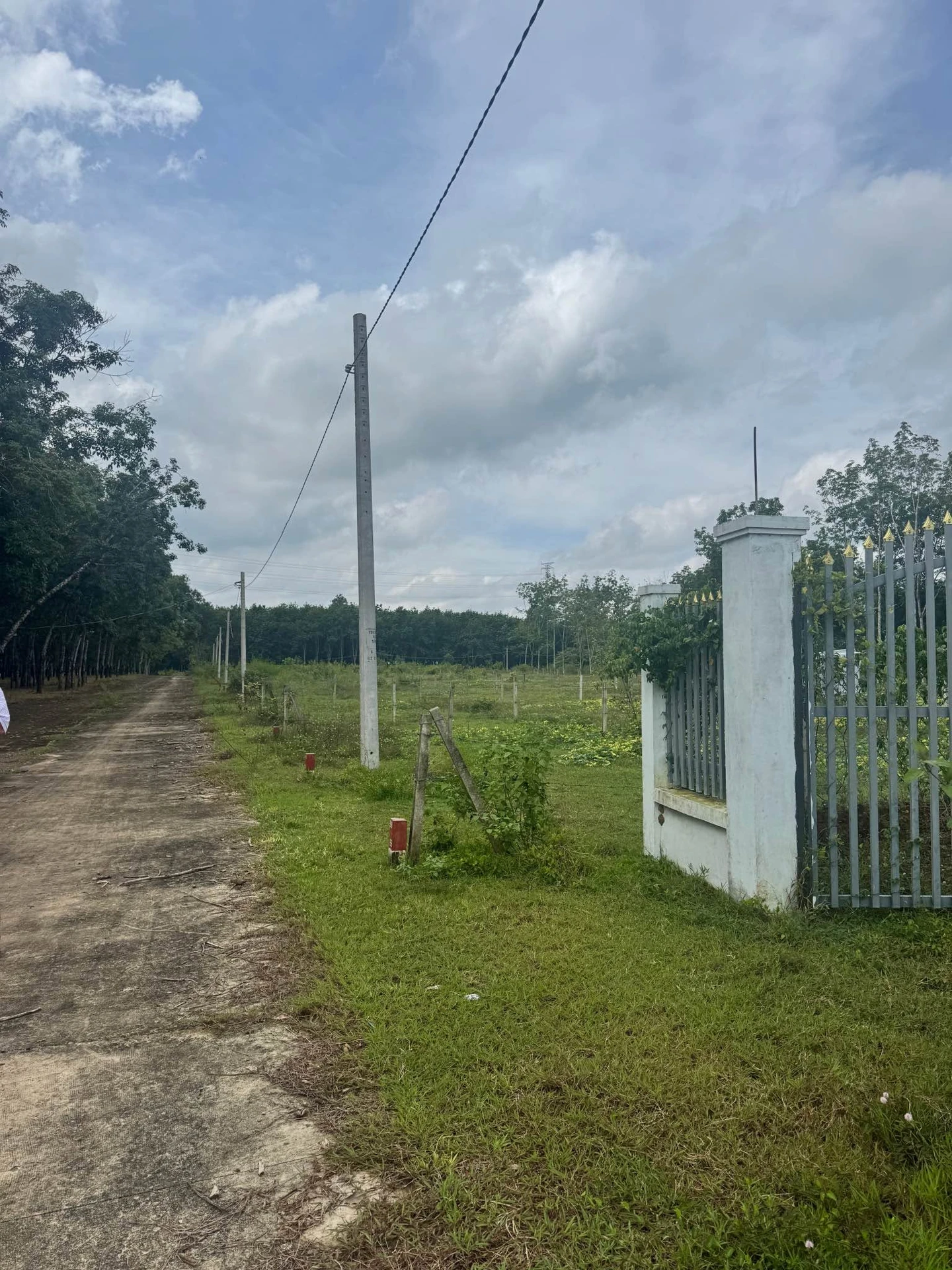 Bán đất 1000m² có nhà cấp 4 tại Bình Phước 390 triệu - Ảnh 1