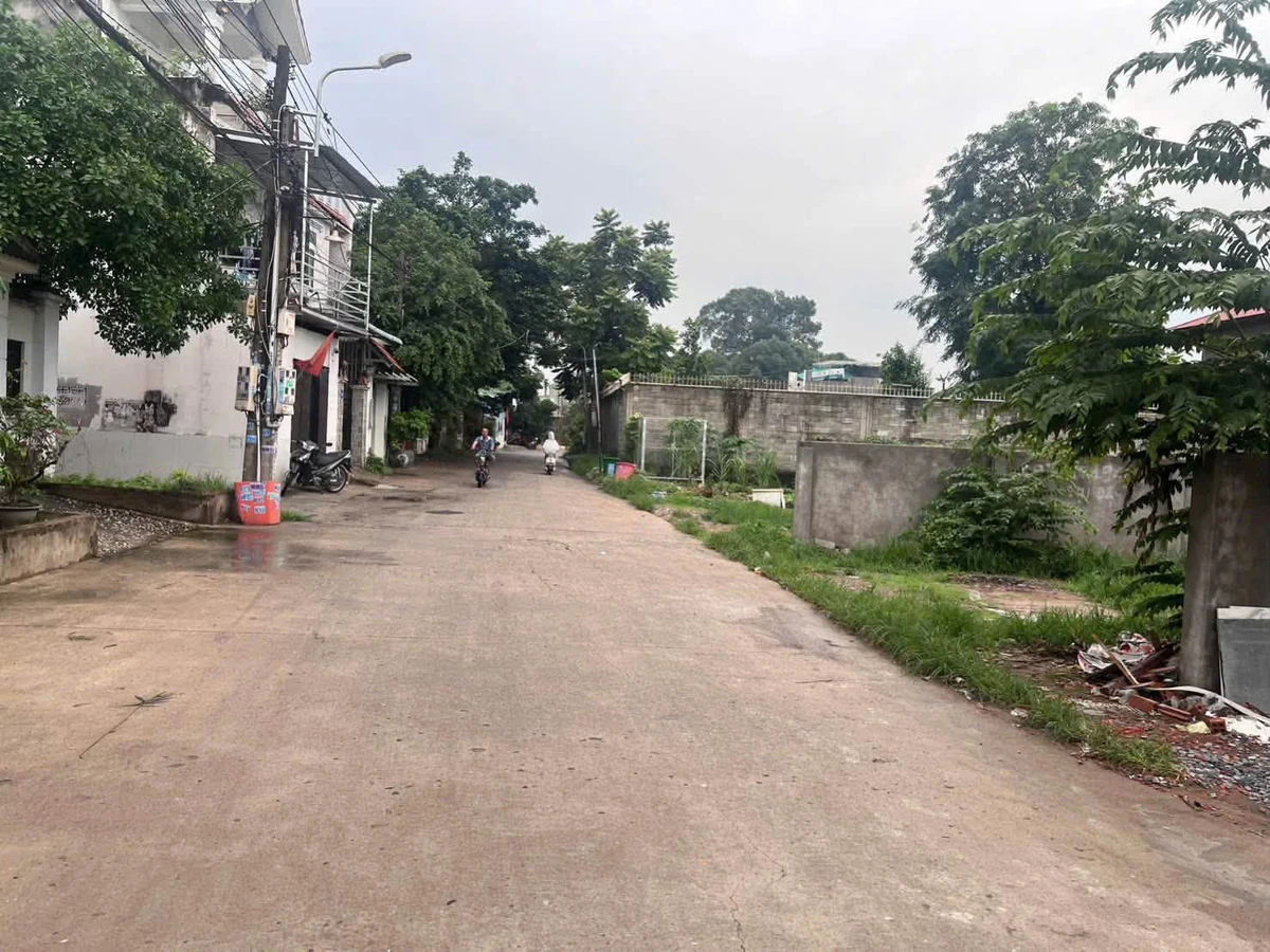 Bán lô đất xây biệt thự 1.151 m2 Dĩ An, Bình Dương 30 tỷ - Ảnh 1