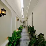 Bán nhà mặt tiền Thành Thái, Rạch Giá 164m², 4PN 5.49 tỷ - Ảnh thu nhỏ 2