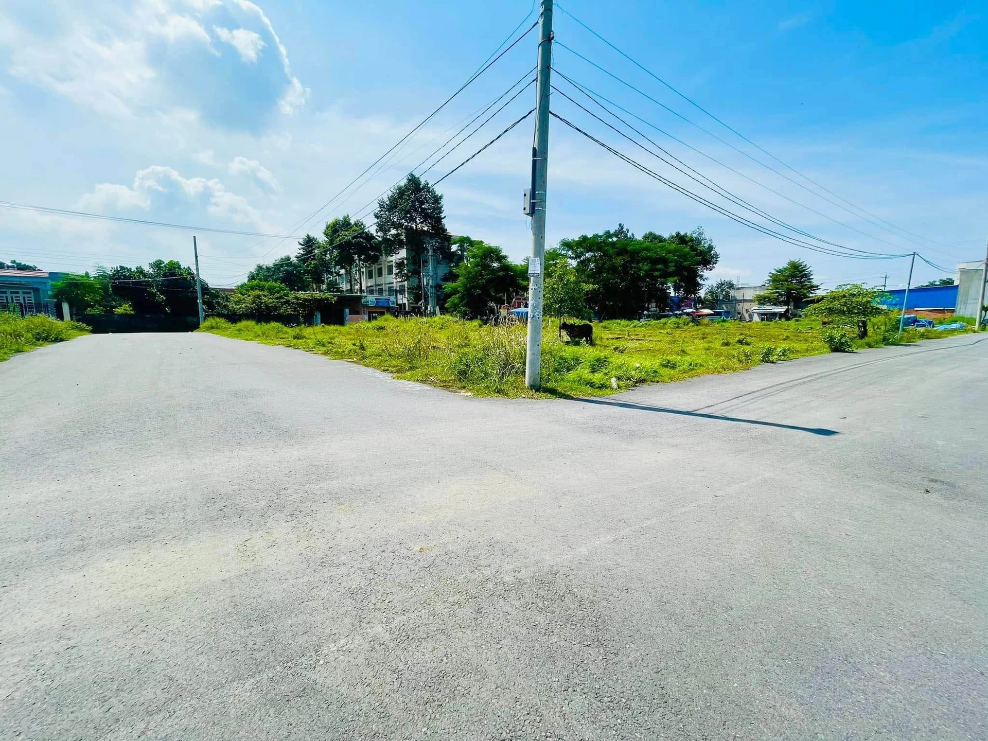 Bán lô đất Phước Tân 5x18m (90m²) 1 tỷ - Ảnh 1