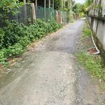 Bán đất thổ ấp 3 121 m² Thạnh Đức Bến Lức - Ảnh thu nhỏ 4