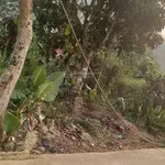Cần bán nhanh đất Cao Phong chính chủ thiện chí bán giá tốt - Ảnh thu nhỏ 4