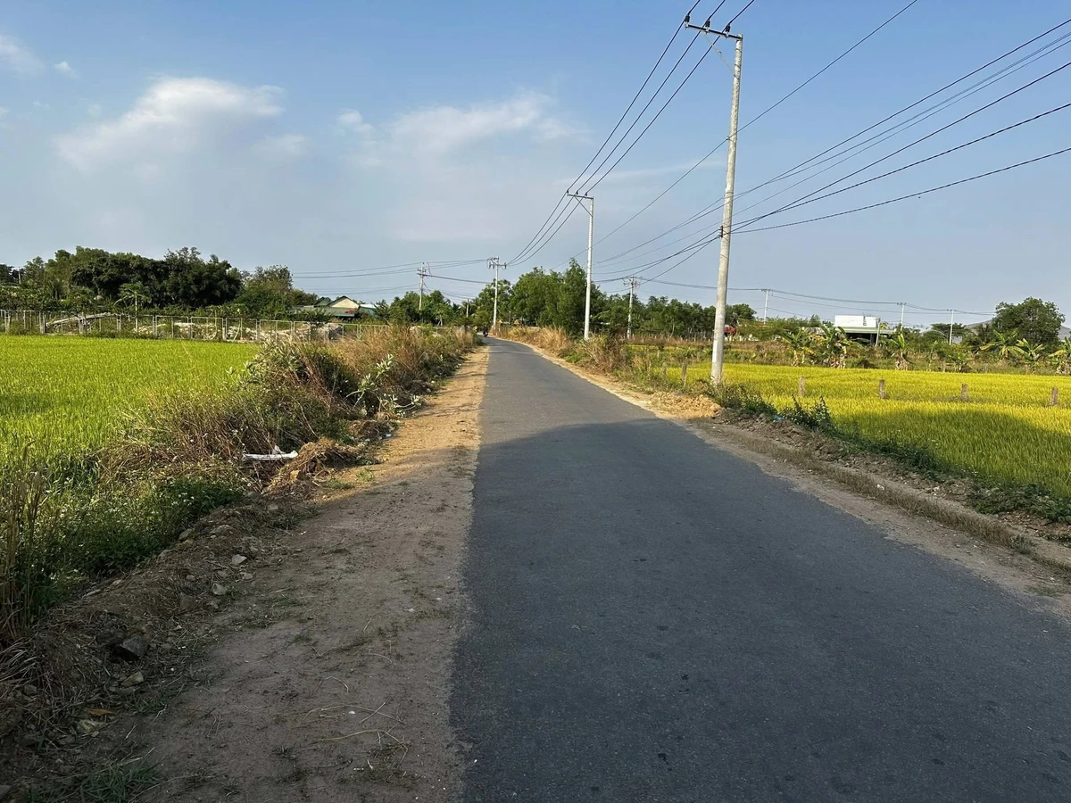 Bán đất mặt tiền 2000m2 Bình Thuận 1.6 tỷ - Ảnh thu nhỏ 2