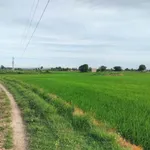 Bán đất vườn 2,5 sào quy hoạch full thổ cư Lâm Đồng - Ảnh thu nhỏ 2