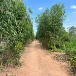 Bán đất vườn 1.369m2 mặt tiền QL N2, Bến Lức, Long An - Ảnh thu nhỏ 5