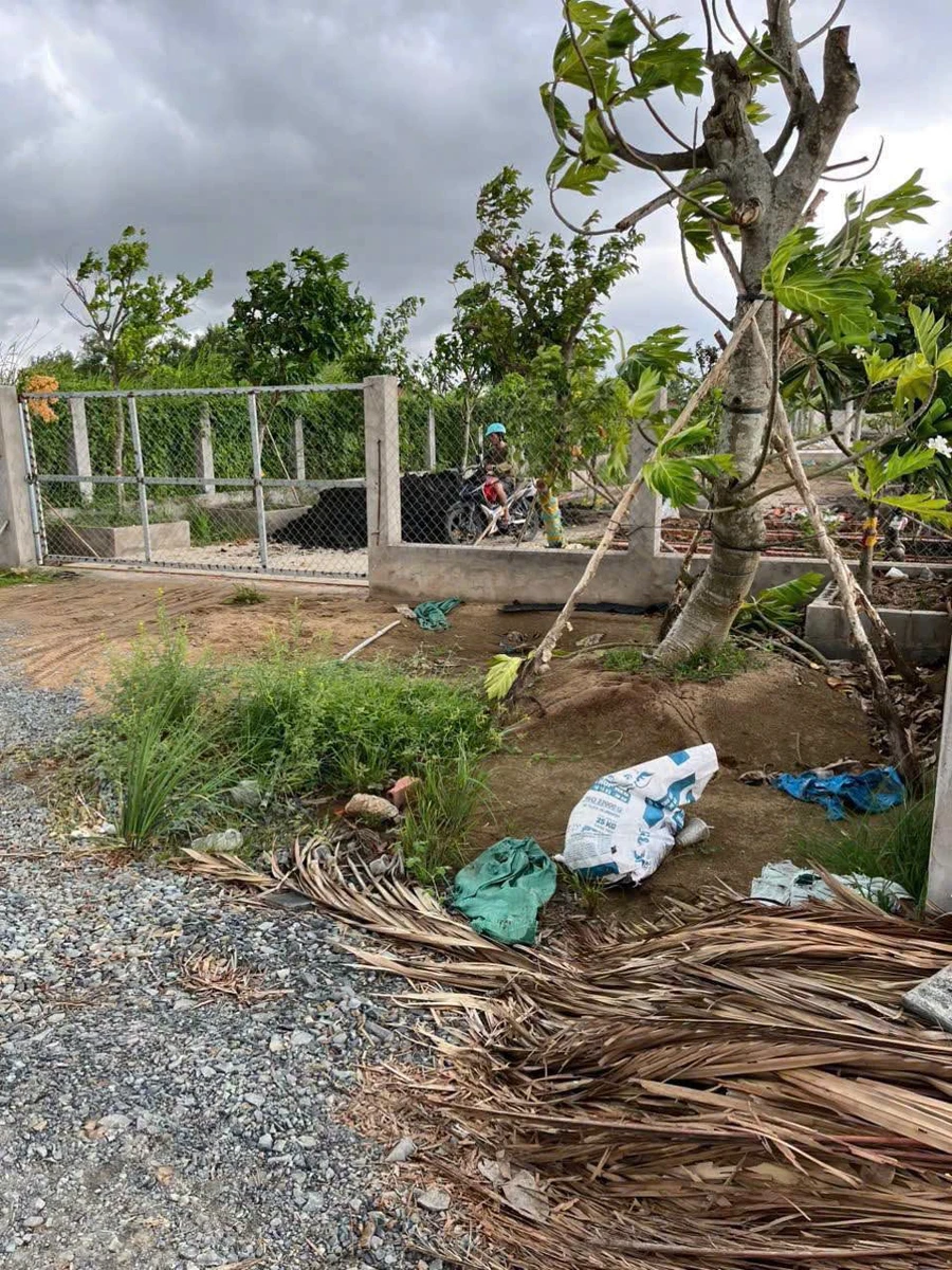 Bán đất vườn 3000m² Thạnh Hòa Bến Lức Long An giá 2 tỷ 550 - Ảnh thu nhỏ 3