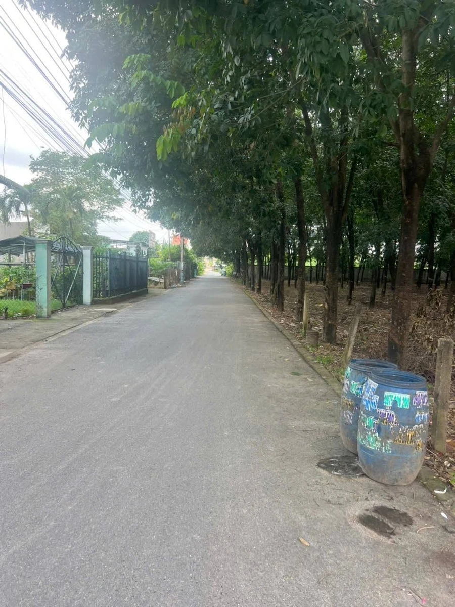 Bán lô đất Hòa Lợi 75m² giá 1,2 tỷ gần chợ - Ảnh 1