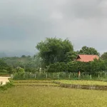 Bán đất vườn trồng bưởi 508m2, có 100m2 thổ cư tại Phú Vinh, Tân Lạc, Hòa Bình - Ảnh thu nhỏ 2