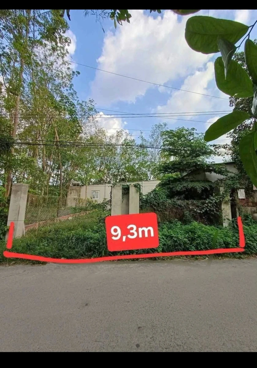 Bán lô đất mặt tiền Tân Uyên, Bình Dương 186m² - Ảnh thu nhỏ 4