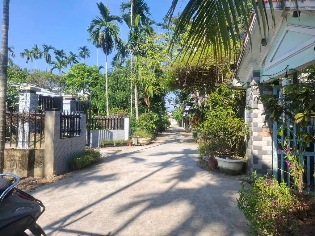 Bán lô đất Hòa Xuân 100m² Nam Kỳ Khởi Nghĩa Đà Nẵng - Ảnh thu nhỏ 3