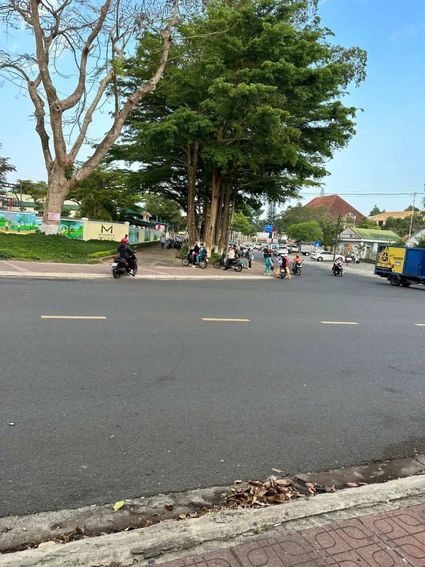 Nhà mặt tiền Nguyễn Công Trứ, Bảo Lộc 360 m², 15 tỷ 5