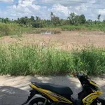Sang đất nền nhiều lô gần cống Rạch Nhum, xã Khánh Bình, Cà Mau - Ảnh thu nhỏ 1