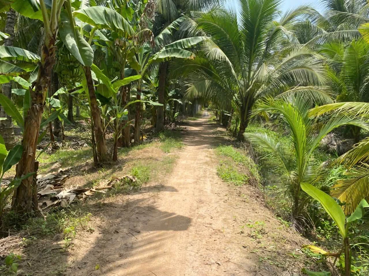 Bán đất vườn 3,4 hectare mặt tiền Vĩnh Long - Ảnh 1