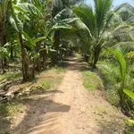 Bán đất vườn 3,4 hectare mặt tiền Vĩnh Long - Ảnh thu nhỏ 1