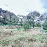 Bán đất mặt tiền Lê Hồng Phong 495m2, 6 tỷ 900 triệu - Ảnh thu nhỏ 5