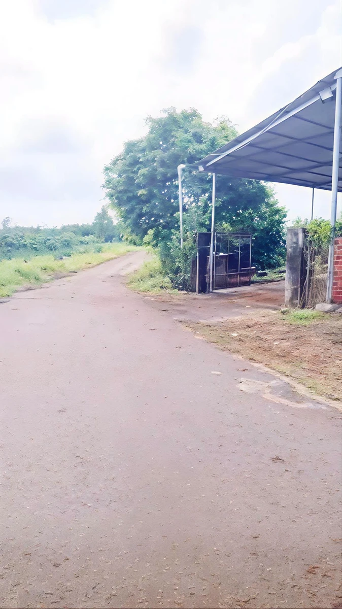 Bán đất 121m2 xã Nghĩa Thành, BRVT, 385 triệu - Ảnh thu nhỏ 3