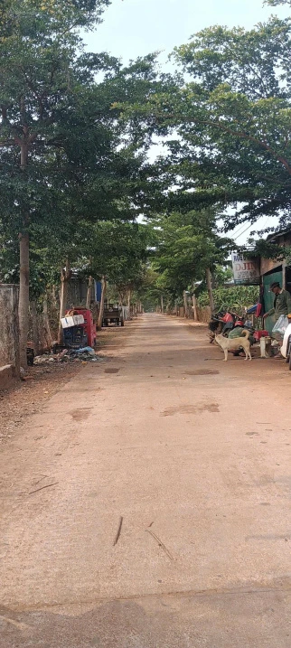 Bán lô đất 450m Đăk Đoa, Gia Lai khu dân cư đông đúc, 300m đến đường Quốc lộ 19B - Ảnh thu nhỏ 2