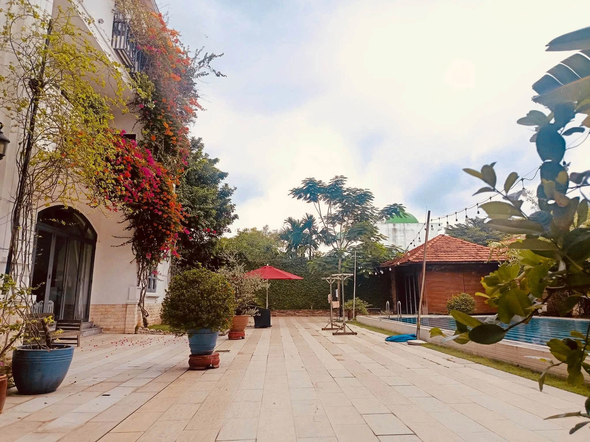 Bán biệt thự 3500m² Bùi Công Trừng, Bình Chánh - Ảnh 1