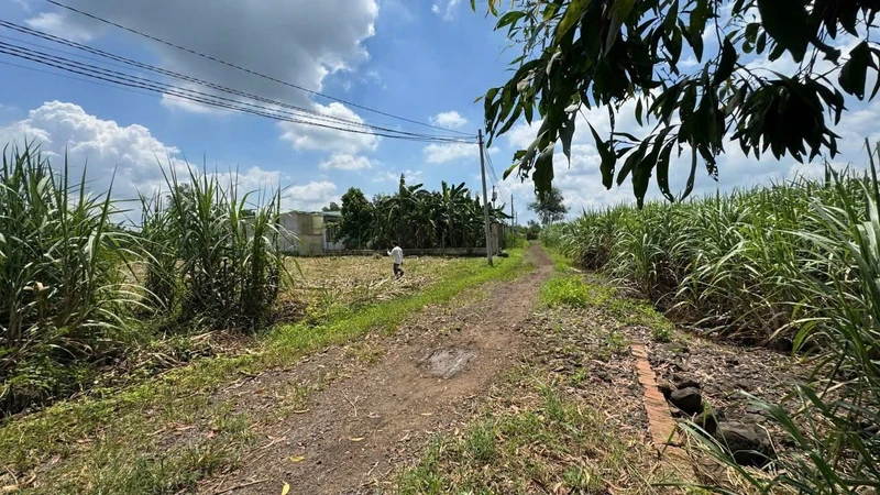 Bán 5500m² đất trồng cây Trảng Bom, giá 2 tỷ