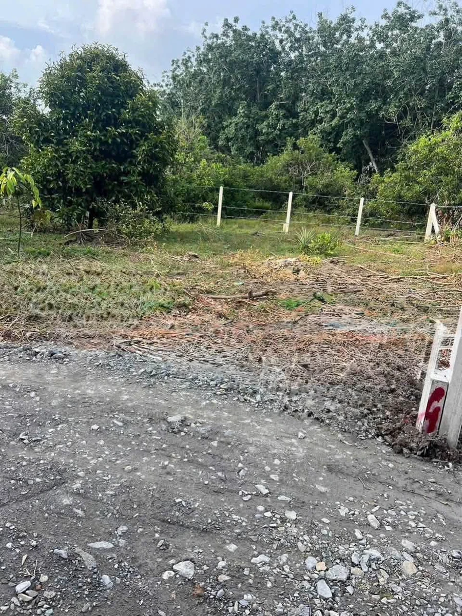 Bán đất 5x13.5m Nguyễn Văn Linh Tây Ninh 250 triệu - Ảnh 1