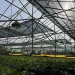 Bán đất mặt tiền 600m2 Ngô Tất Tố, Đà Lạt - Ảnh thu nhỏ 4