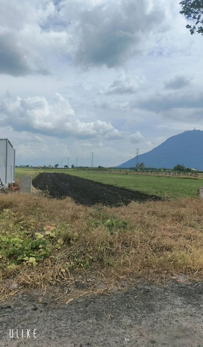 Bán 5000m2 đất đen Suối đá Dương Minh Châu Tây Ninh - Ảnh thu nhỏ 3