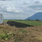 Bán 5000m2 đất đen Suối đá Dương Minh Châu Tây Ninh - Ảnh thu nhỏ 3
