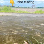 Bán đất Nhà Bè 360m2 thổ cư 94m2, 430 triệu - Ảnh thu nhỏ 1