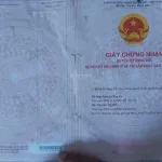 Bán loại BĐS khác tại Phường Xuân Phú, Sông Cầu, Phú Yên, giá siêu hời 1,28 tỷ, 30000 m2 - Ảnh thu nhỏ 8