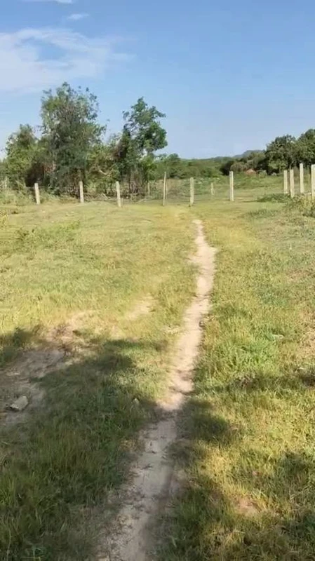 Bán đất lúa 25x40m cho chuyển thổ cư, view kênh tại Hiệp Thạnh, Châu Thành, Long An canhodongtien