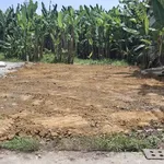 Bán đất 100m² gần Nguyễn Hoàng, Phường Kim Long, Huế - Ảnh thu nhỏ 5