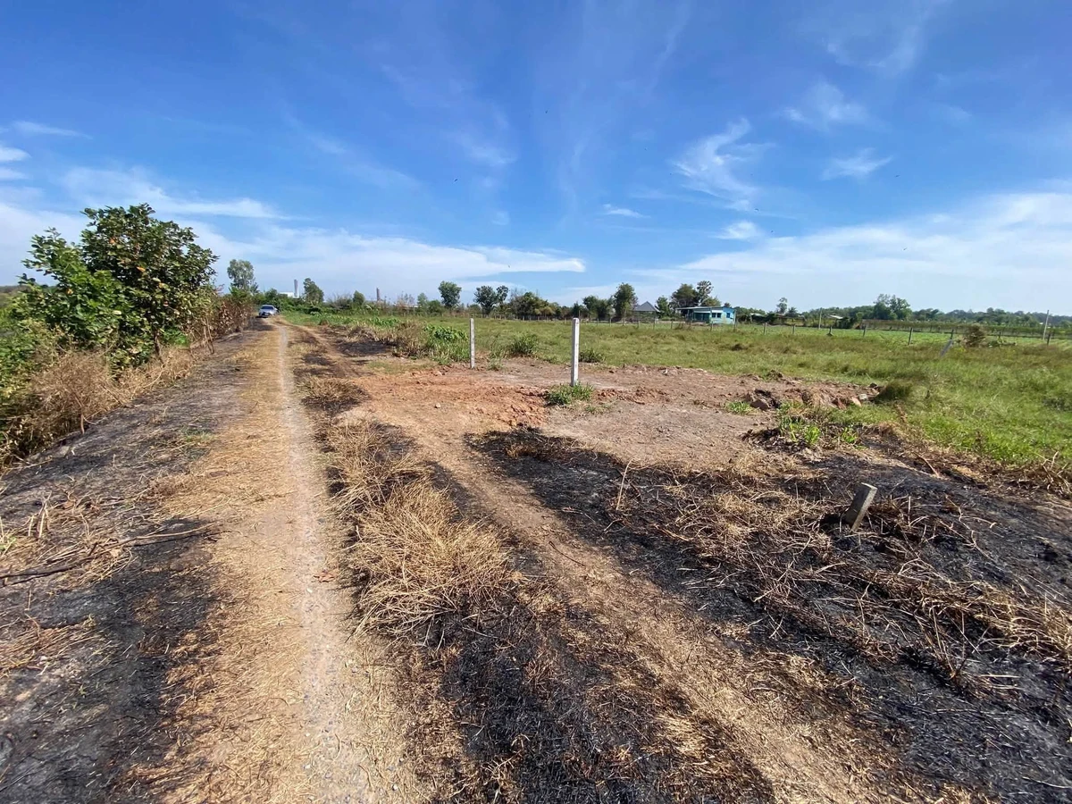 Bán đất Suối Đá Bình Chánh 195m2 - Ảnh thu nhỏ 2