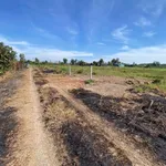Bán đất Suối Đá Bình Chánh 195m2 - Ảnh thu nhỏ 2