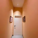 Bán nhà 2PN, 100m² tại Phi Bình 7, KĐT Hòa Quý, 4.8 tỷ - Ảnh thu nhỏ 3