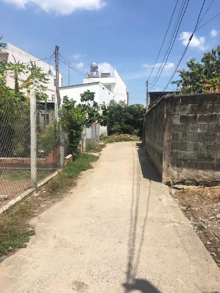 Bán đất 175m² Xã An Ninh, Tây Ninh - Ảnh 1
