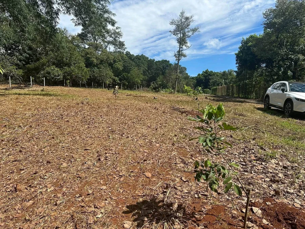 Lô đất 2100m² Suối Tre Long Khánh 1 tỷ 9 - Ảnh thu nhỏ 3