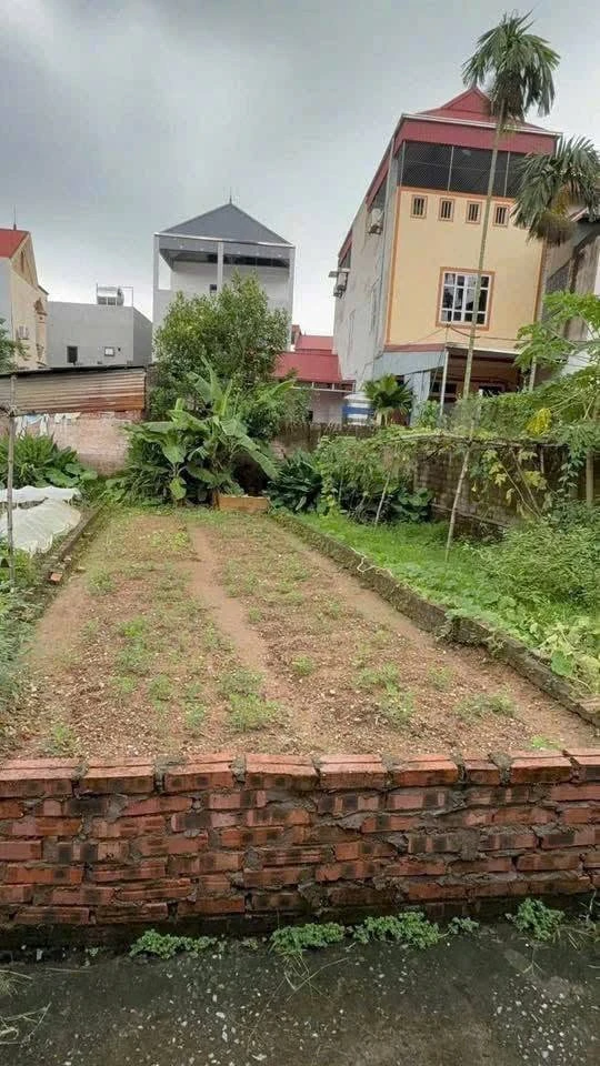Bán đất 55m2 tại Phúc Hoà, Phúc Thọ, Hà Nội, giá chỉ hơn 1 tỷ - Ảnh thu nhỏ 3