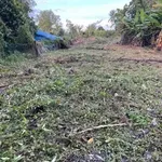 Bán đất vườn 909m2 tại Mỹ Lệ, Cần Được, Long An 1 tỷ 550 triệu - Ảnh thu nhỏ 3
