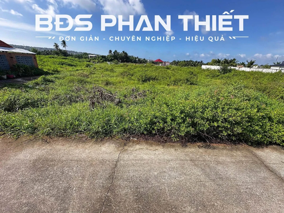 Bán đất Phú Xuân 996m² sổ sẵn 1 tỷ 600 triệu - Ảnh thu nhỏ 3