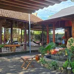 Bán đất 233m2 có quán cafe view ruộng Buôn Ma Thuột 1 tỷ 790 - Ảnh thu nhỏ 3