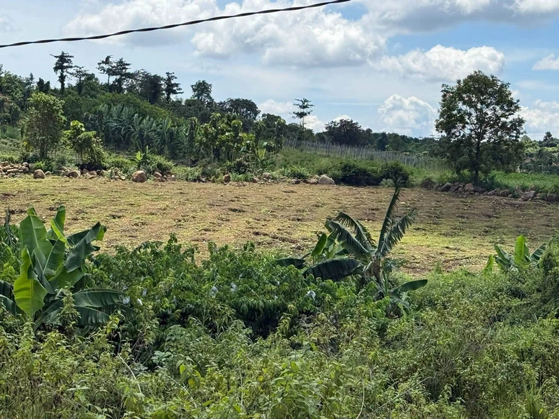 Bán đất 1,6 sào (6400m²) 199 triệu Đắk Ghenh