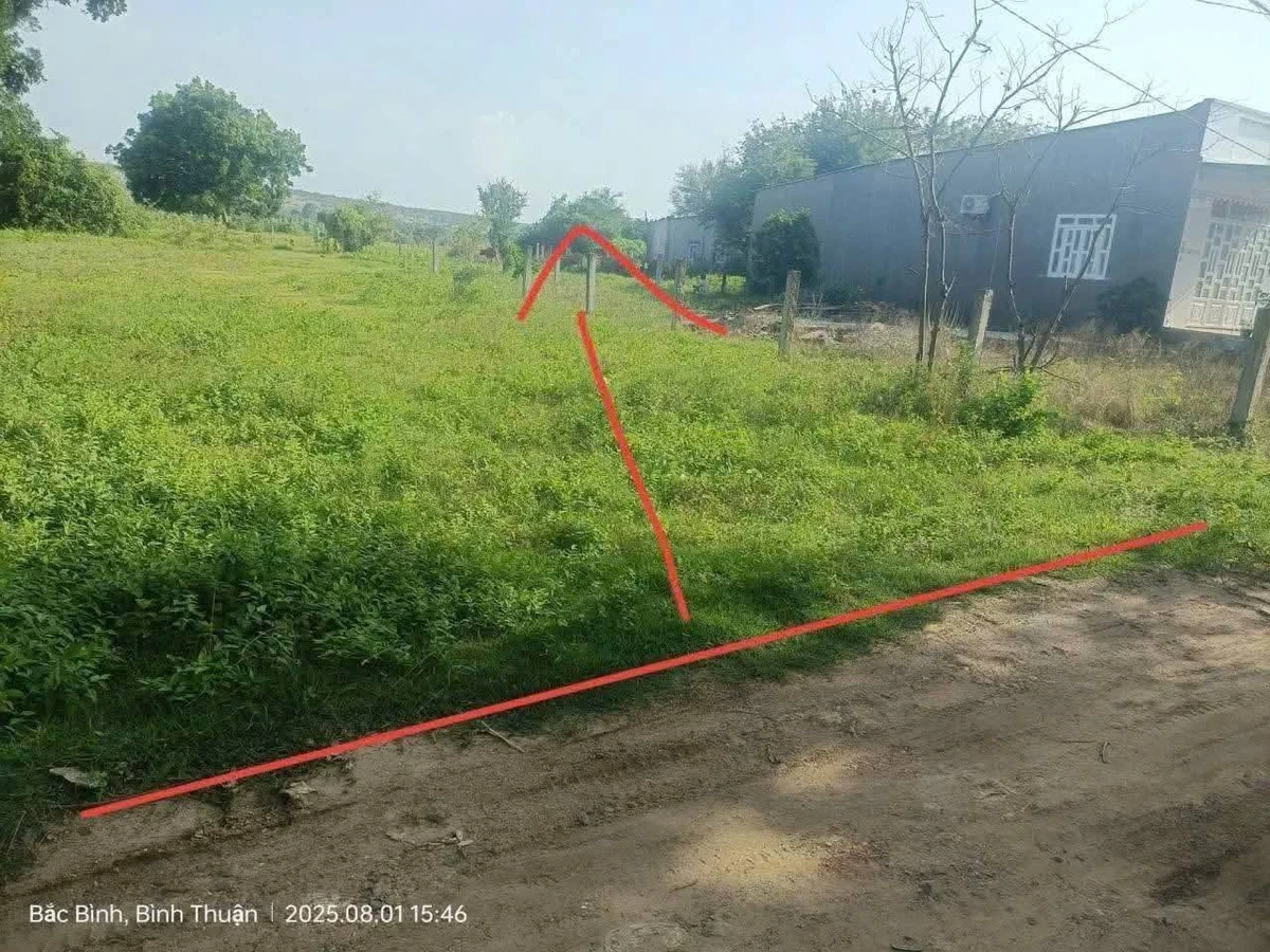 Bán đất 1820m² Bắc Bình, Bình Dương, 1 tỷ - Ảnh thu nhỏ 3