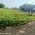 Bán đất 1820m² Bắc Bình, Bình Dương, 1 tỷ - Ảnh thu nhỏ 3